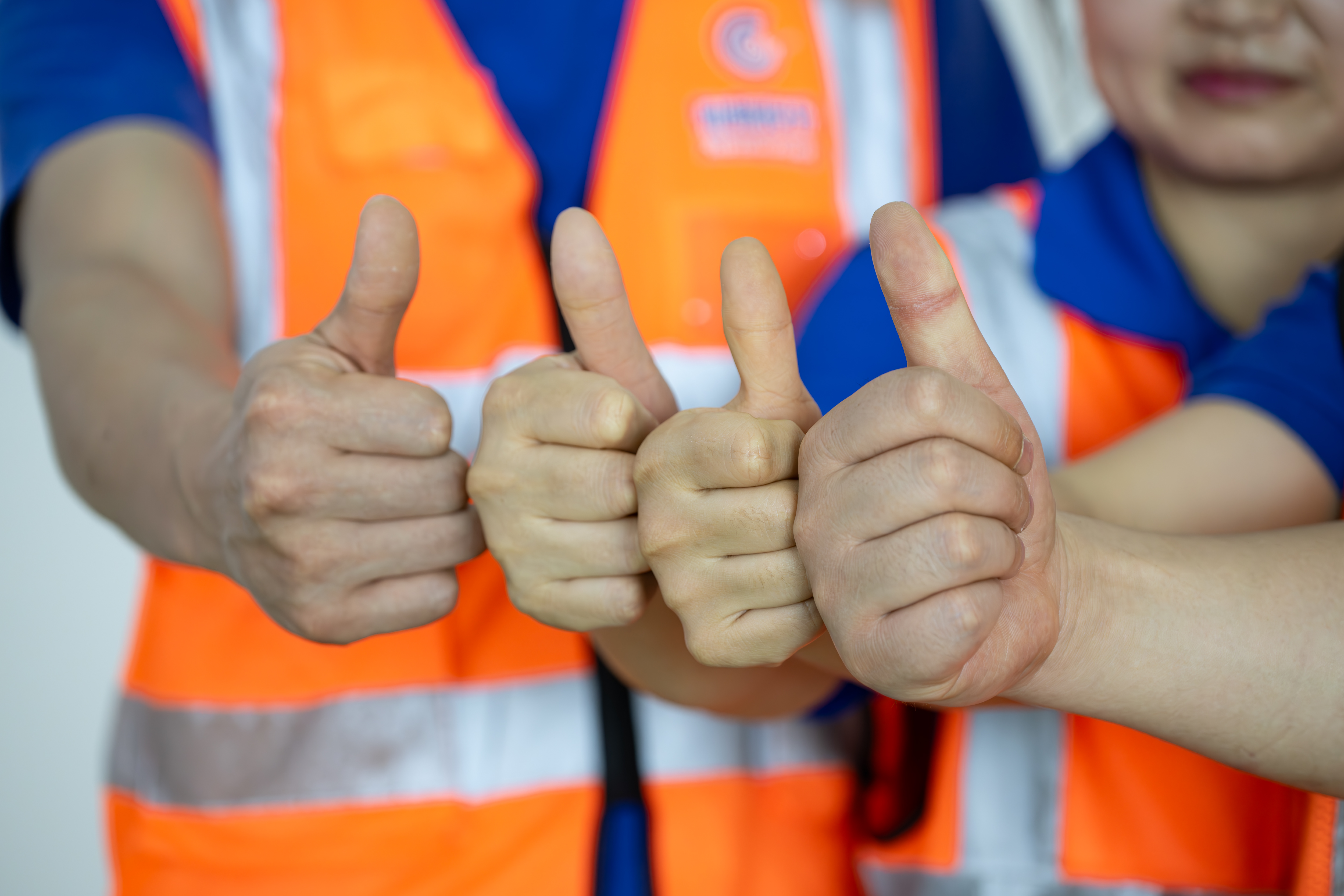 仙鶴股份有限公司官方網站 仙鶴股份有限公司官方網站